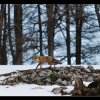 20121230_1245
